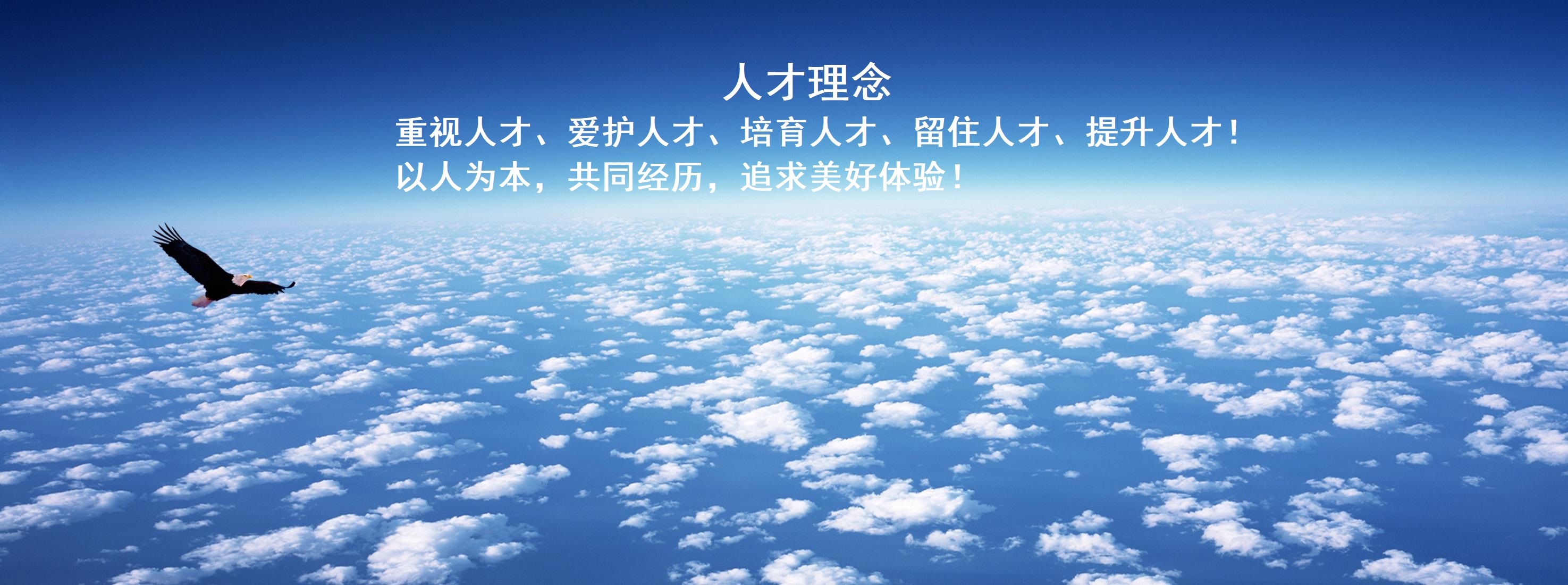 人才理念
